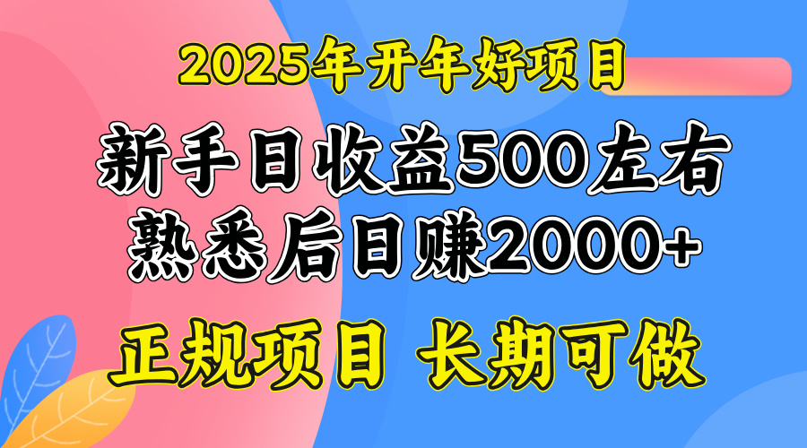 （14076期）2025开年好项目，单号日收益2000左右