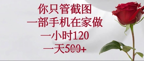 你只管截图，一部手机在家操作，一小时120.一天5张