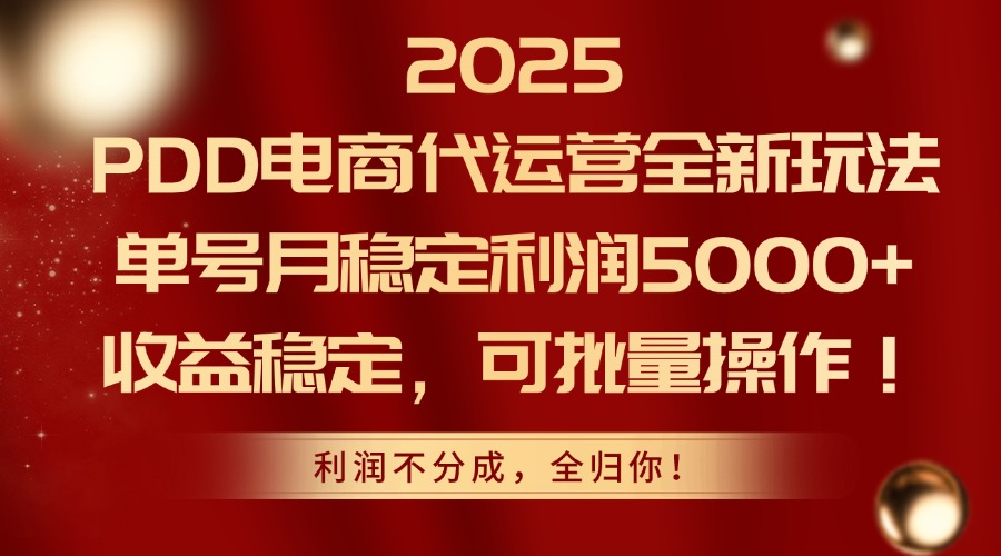 （14839期）2025PDD电商代运营全新玩法，单号月稳定利润5000+，收益稳定，可批量操作