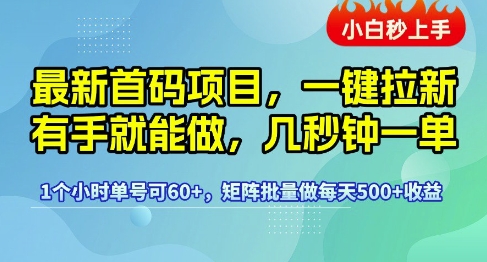 最新首码项目，一键拉新有手就能做，几秒钟一单，1个小时单号可60+，矩阵批量做每天5张