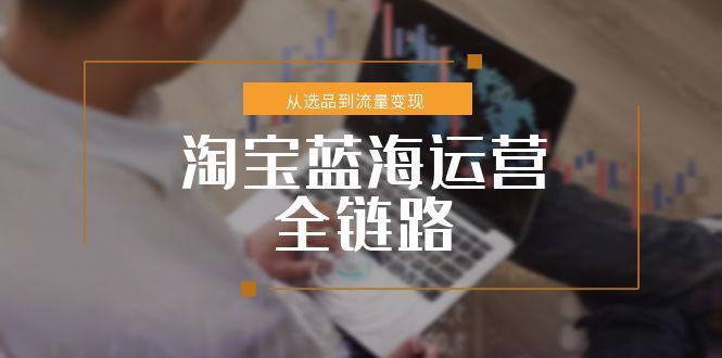（15160期）淘宝蓝海运营全链路，从选品到流量变现，小类目突围完整方案