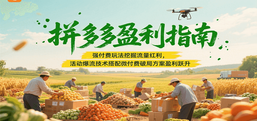 拼多多盈利指南：强付费玩法挖掘流量红利，活动爆流技术搭配微付费方案实现盈利跃升