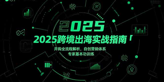 （15503期）2025跨境出海实战指南，并购全流程解析，自创营销体系，专家基本功训练