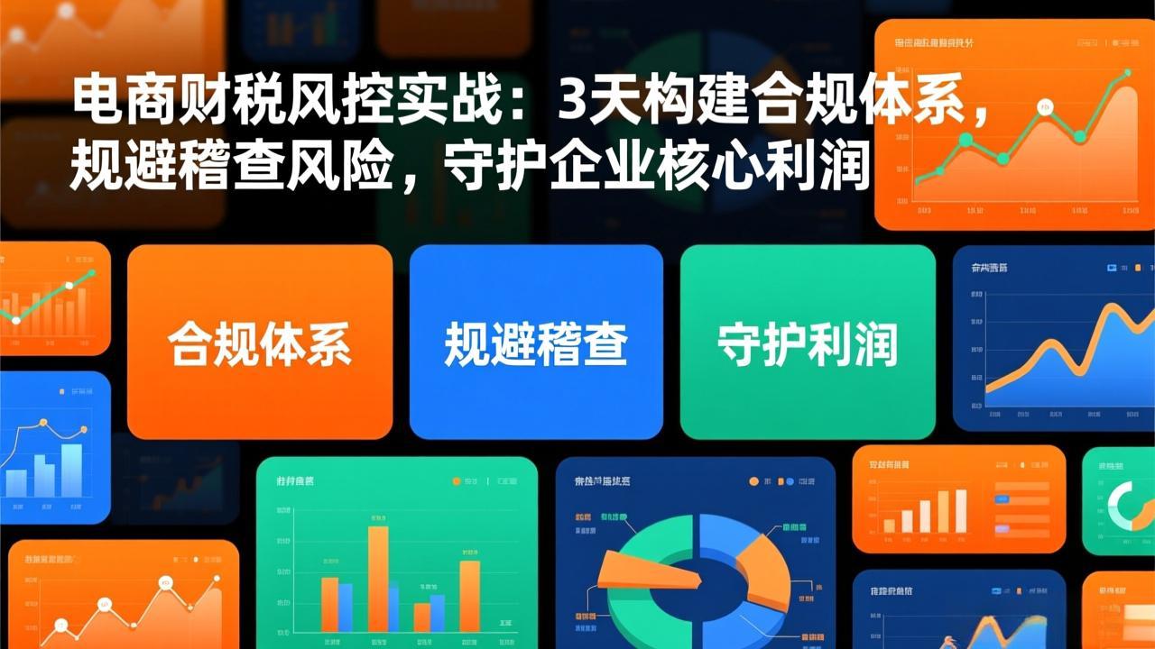 (17197期)电商财税风控实战:3天构建合规体系,规避稽查风险,守护企业核心利润