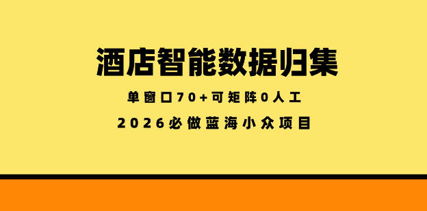 酒店智能数据归集,小众蓝海已经稳定半年之久,单窗口70+零成本矩阵开干