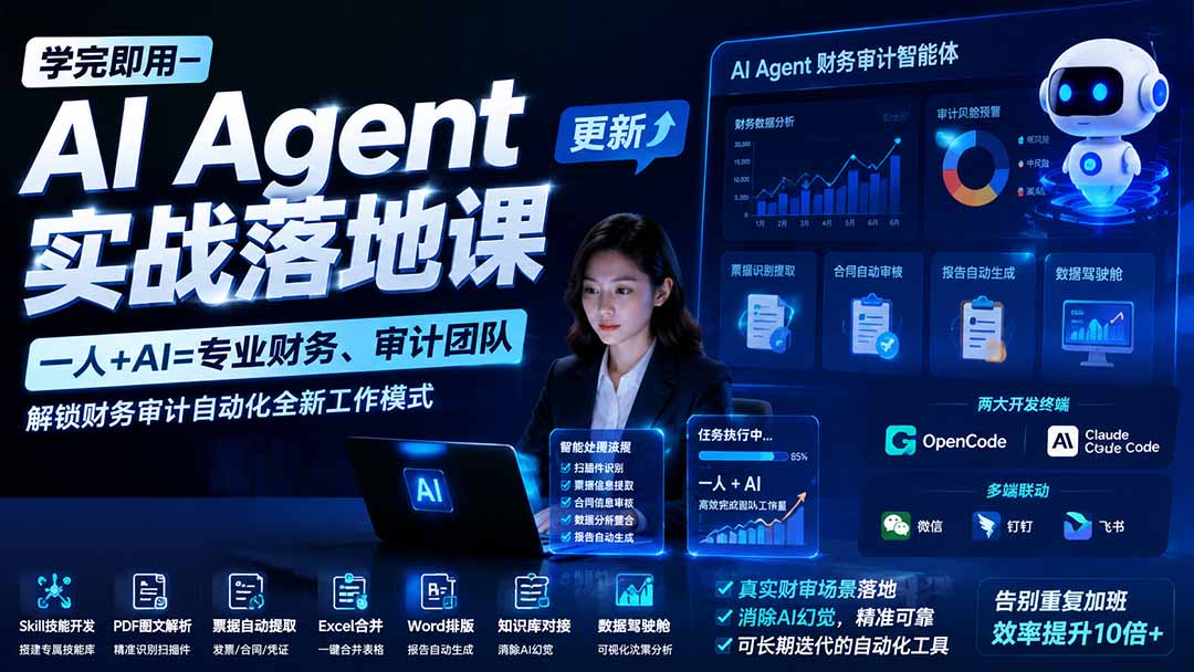 （20625期）【无水印】学完 即用-AI Agent实操落地课-更新0924：一人 + AI=专业财务、审计团队，解锁财务审计自动化全新工作模式