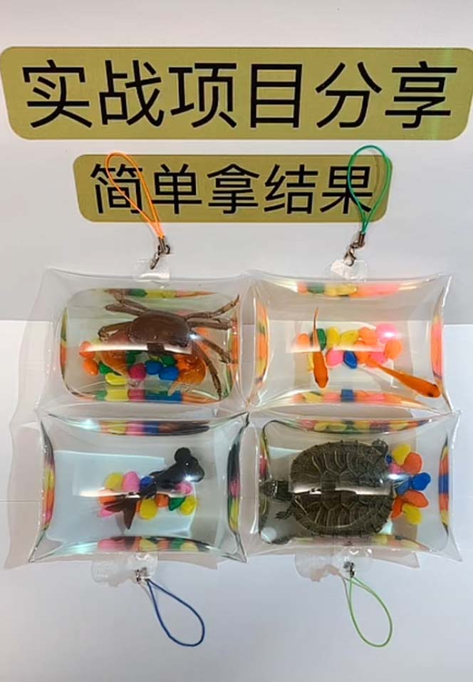 (5392期)最近抖音很火的泡泡鱼手工小成本地摊创业项目,日賺500+项目课程解析