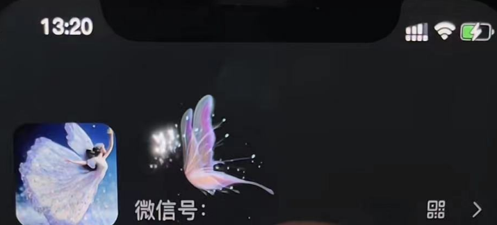 (4980期)微信动态昵称设置方法,可抖音直播引流,日赚上百【详细视频教程+素材】